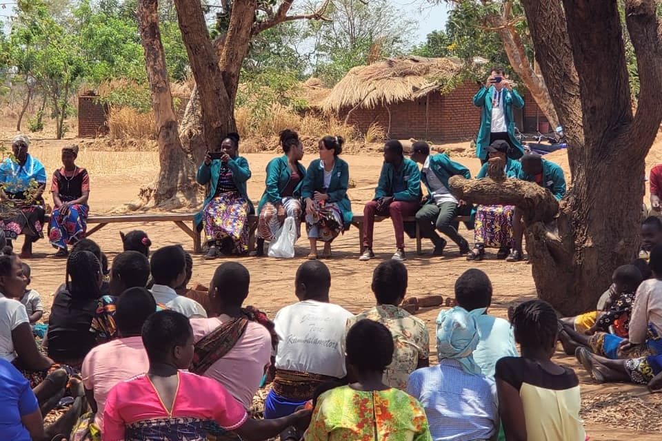 hummingbirds provide solutions to carbon project developers in Africa