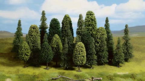 Fostering biodiversity in ARR projects: Why is it so important to reforest with diverse tree species?