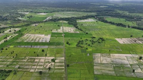 Unlocking Soil’s hidden potential: A Snapshot of ALM projects on the carbon markets