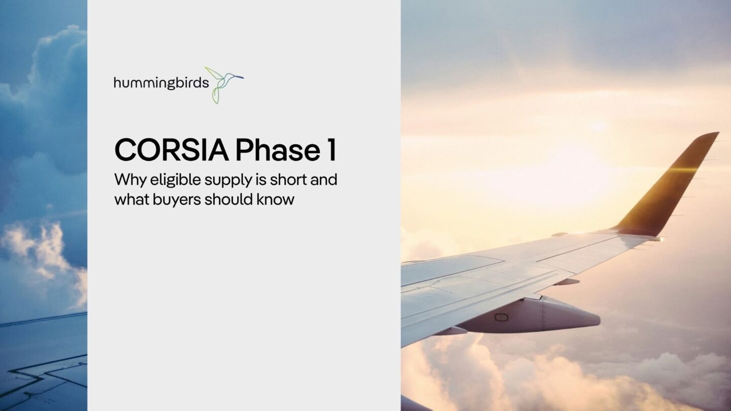 CORSIA Phase 1 blog article title image with airplane wing in sky