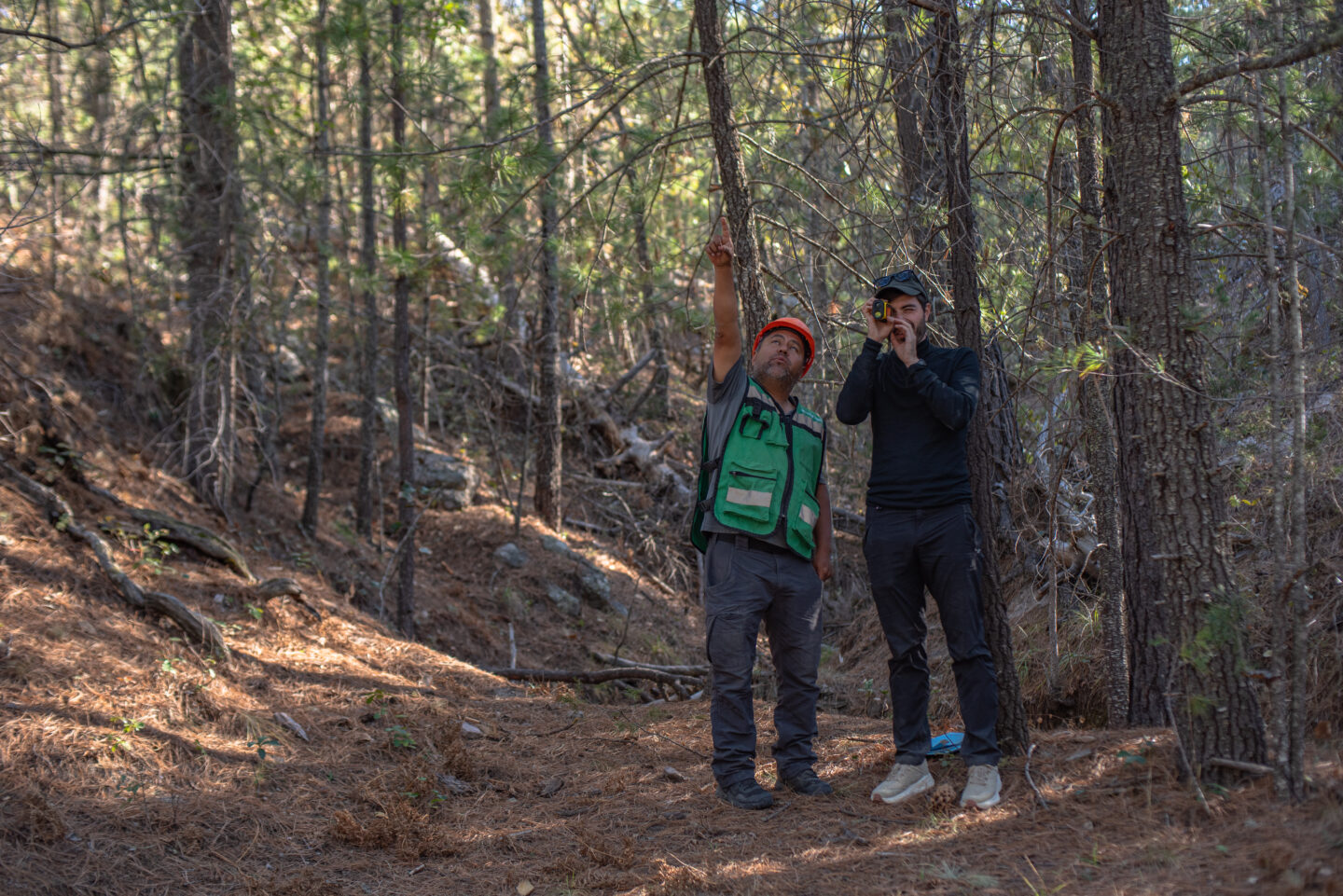 Mariposa Improved Forest Management project: BD Alexandre Lépée with forestry worker